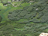 dsc01757.jpg