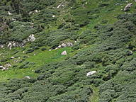 dsc01759.jpg