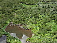 dsc01765.jpg