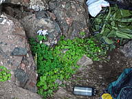 dsc01773.jpg