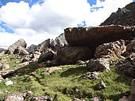 dsc01778.jpg