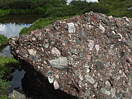 dsc01785.jpg
